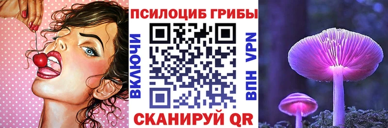 Псилоцибиновые грибы GOLDEN TEACHER  Купить  Задонск 